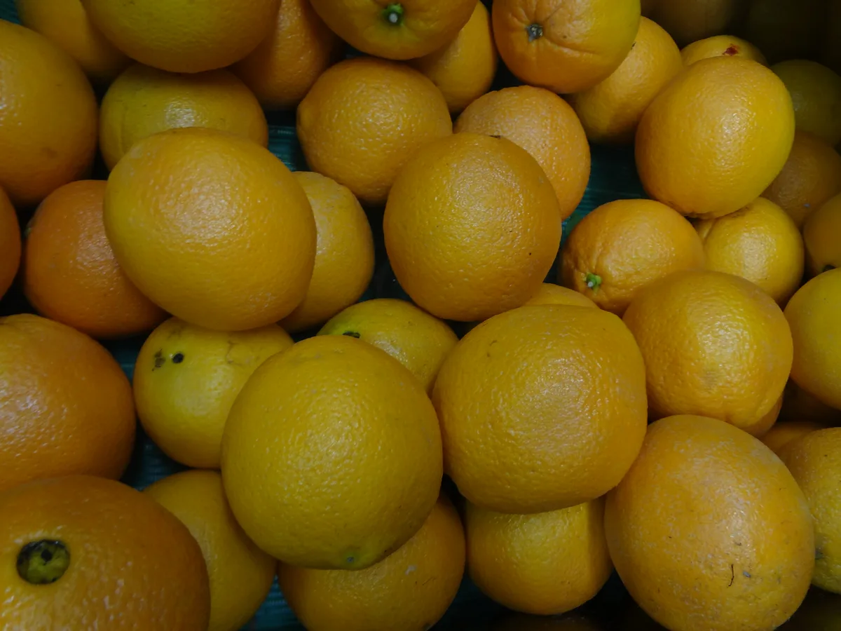 Sweet Orange