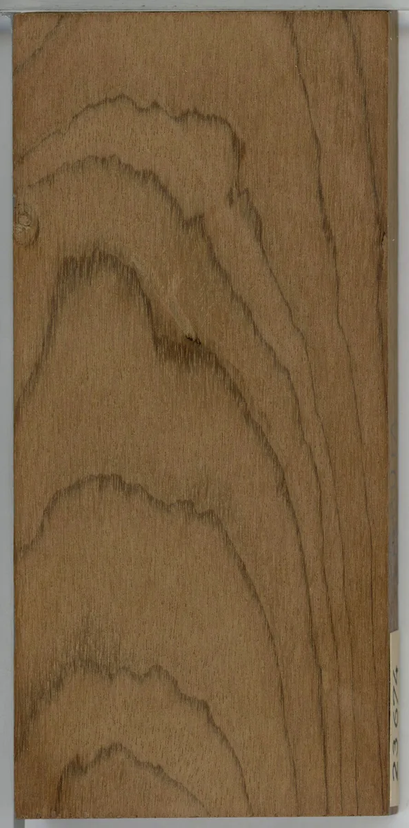 Brazilian Walnut