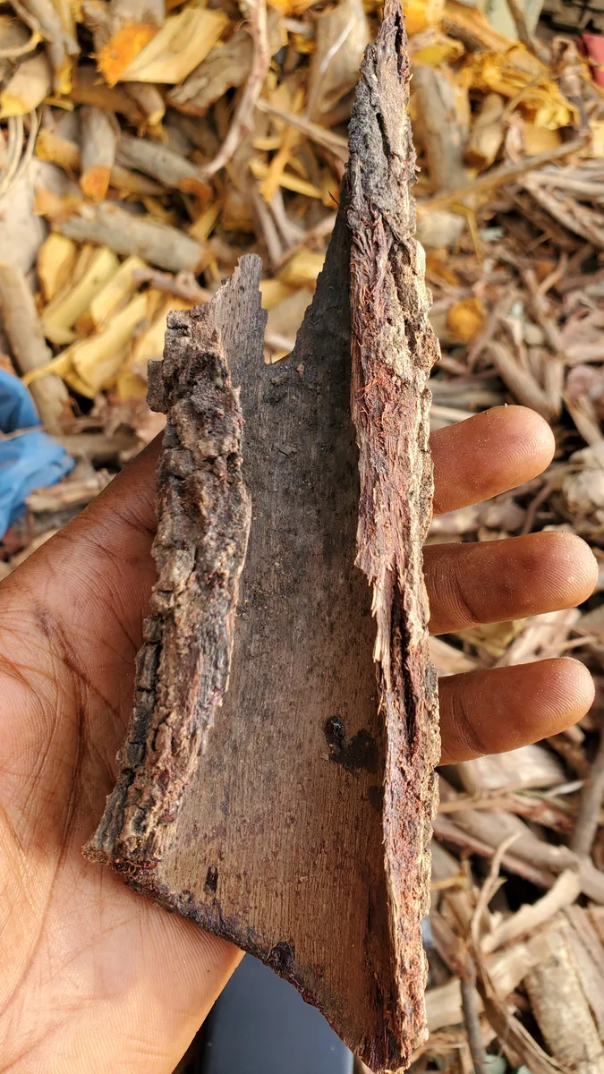 African Rosewood