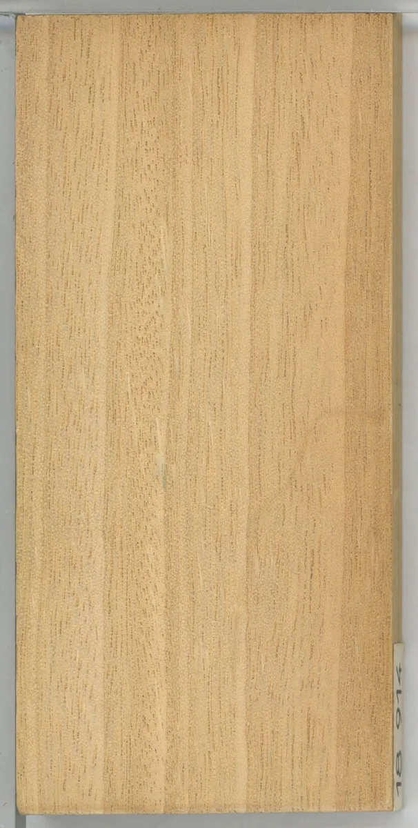 Idigbo (Terminalia ivorensis)