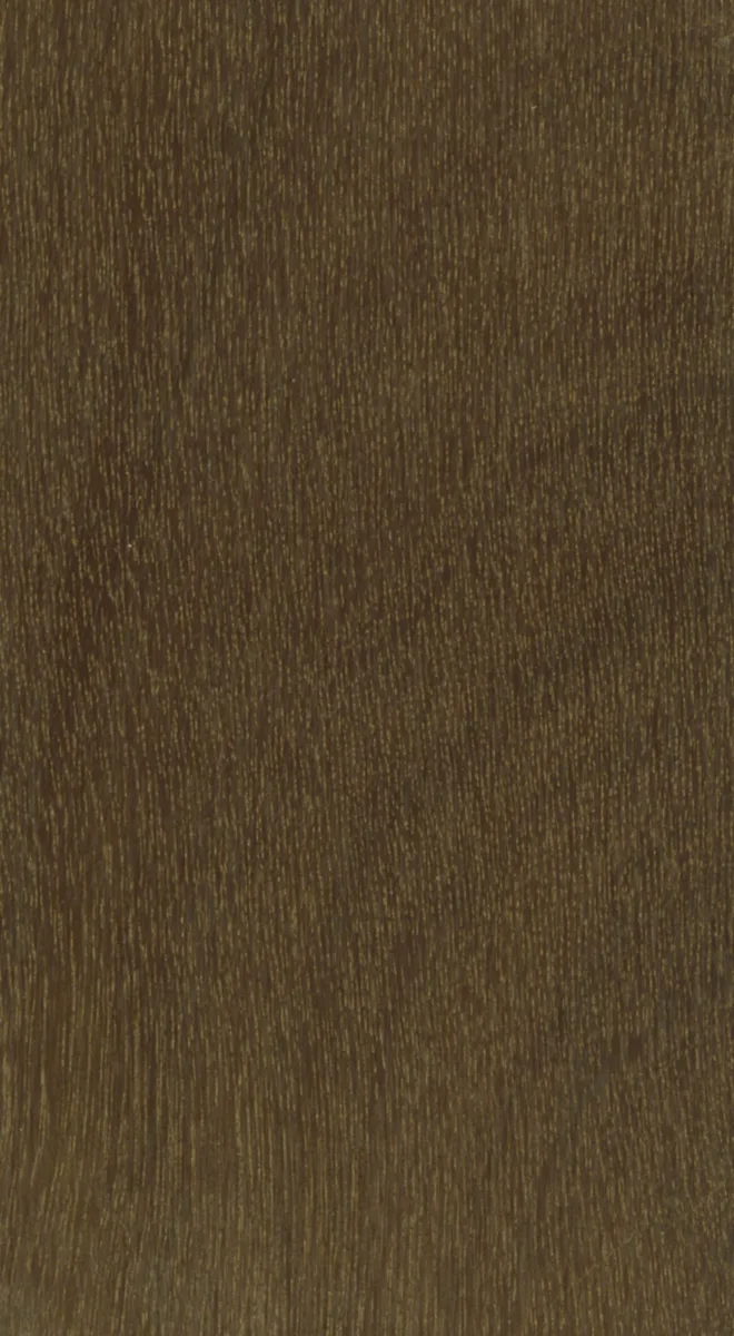 Bulletwood (Manilkara bidentata)
