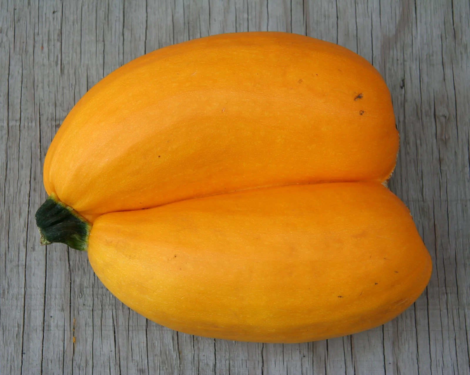 Zucchini