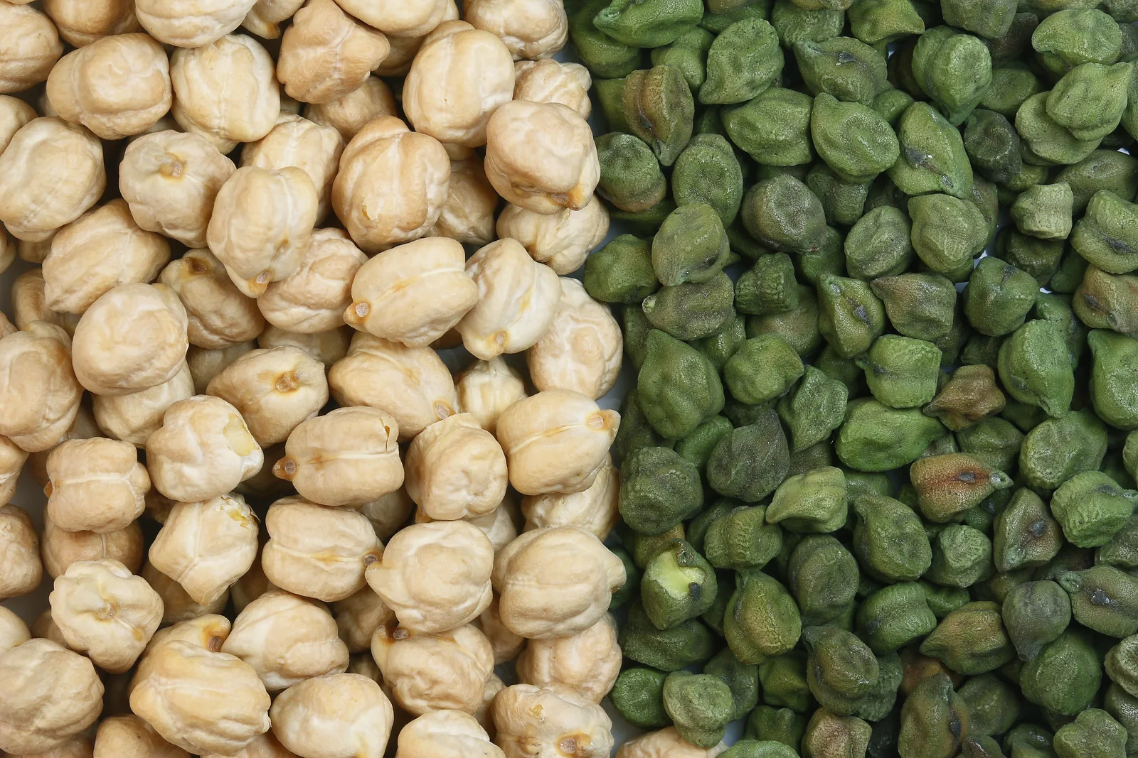 Chickpea