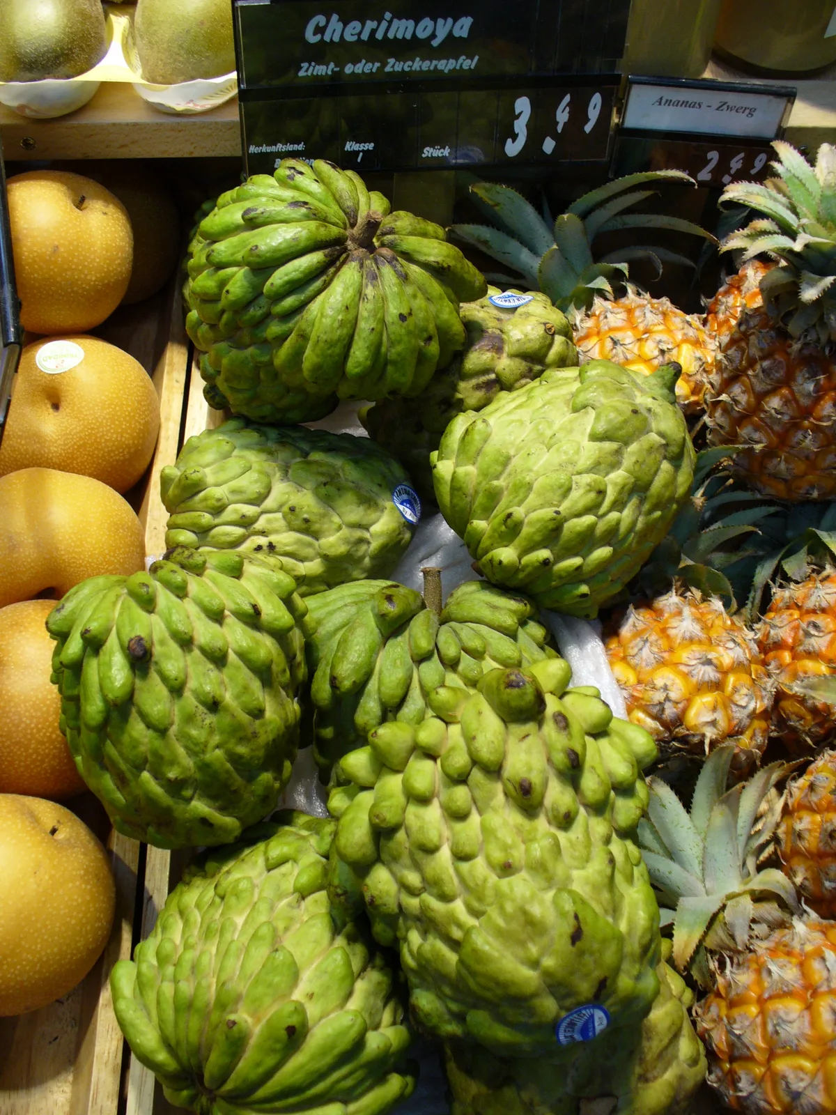 Atemoya (Annona atemoya)
