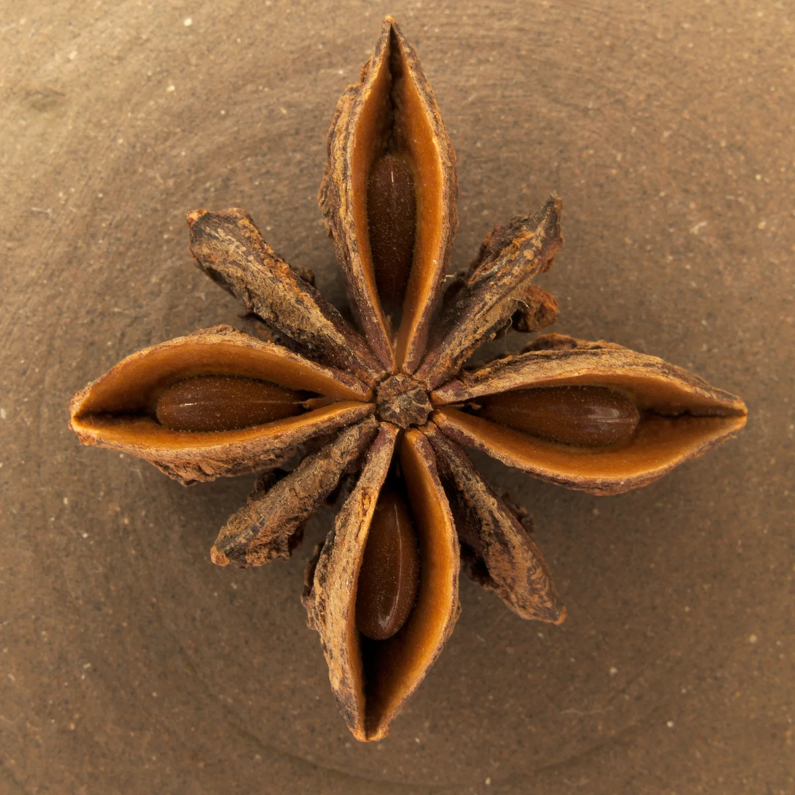 Star Anise (Illicium verum)