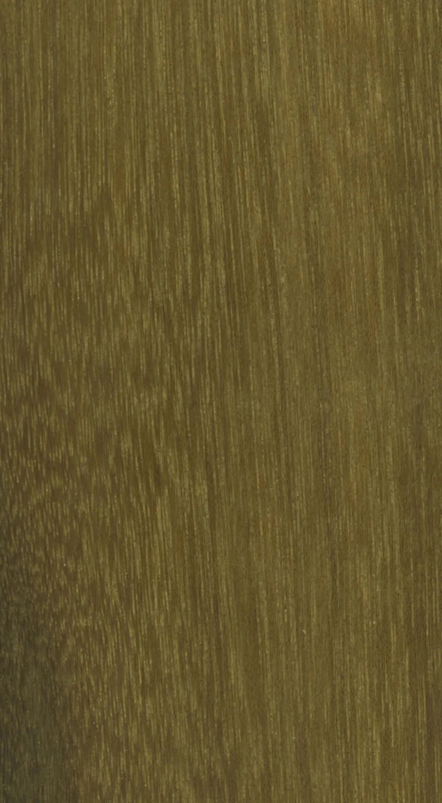 Greenheart (Chlorocardium rodiei)