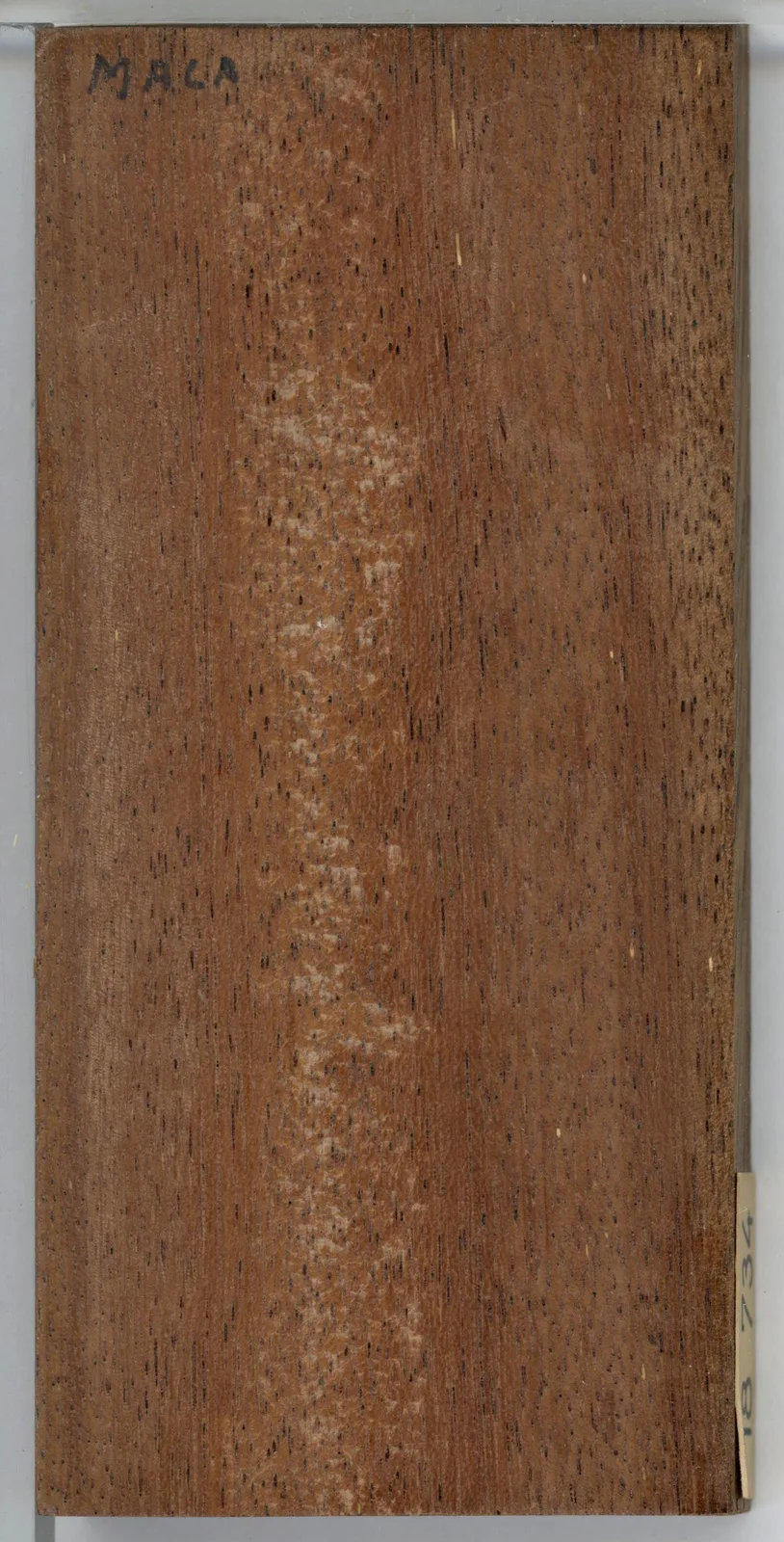 Merbau