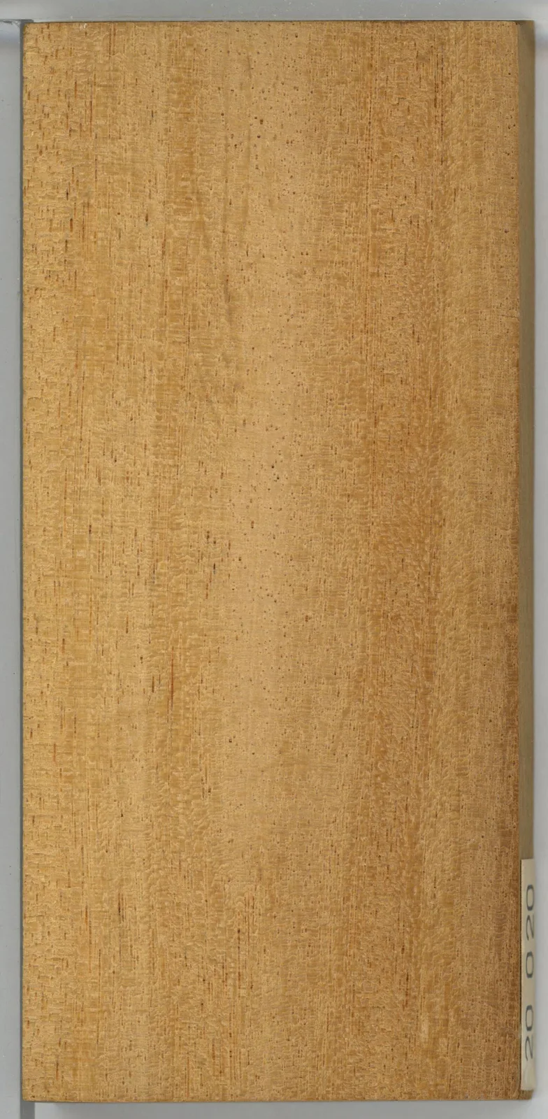 Bilinga