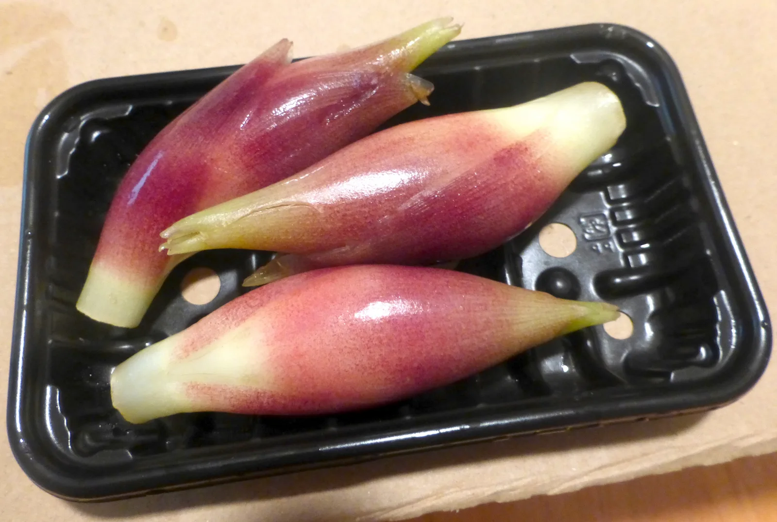 Japanese Ginger