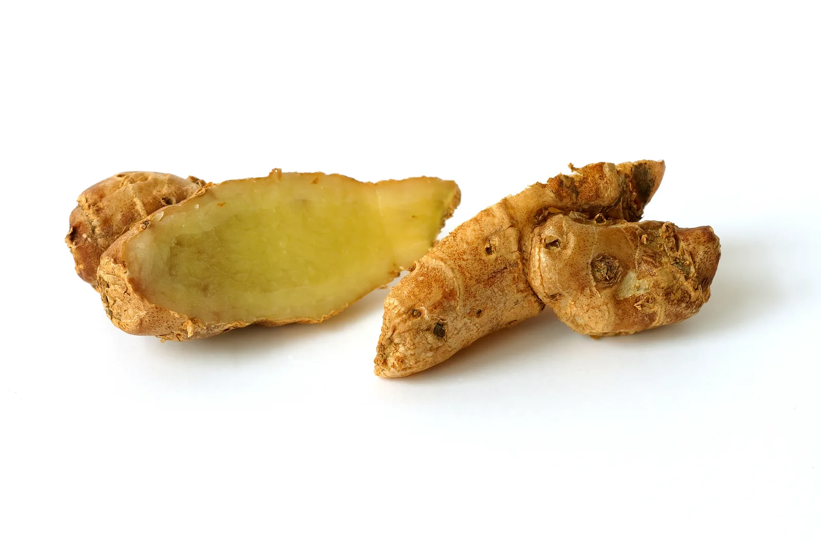 Lesser Galangal