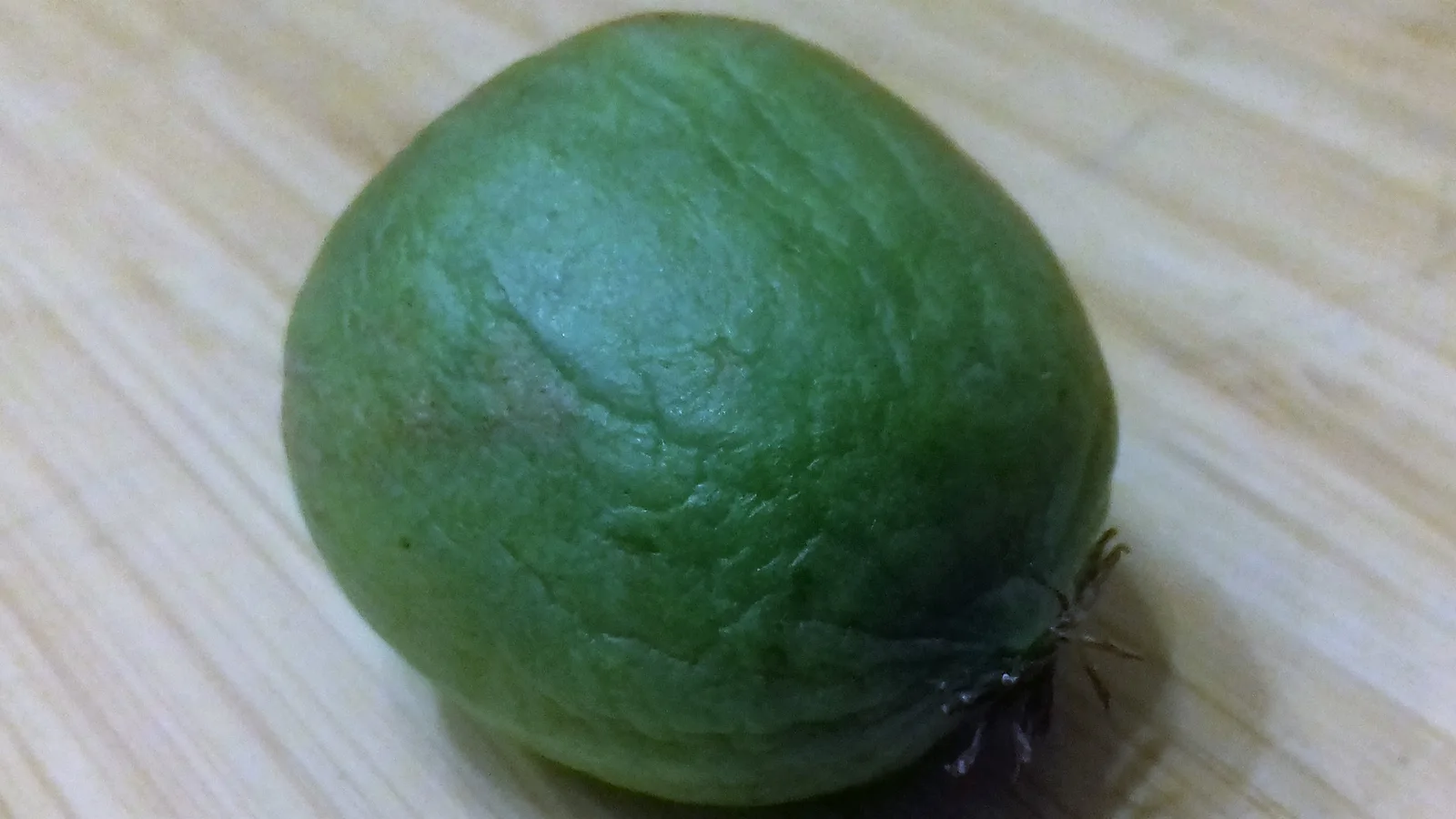 Hardy Kiwi (Actinidia arguta)